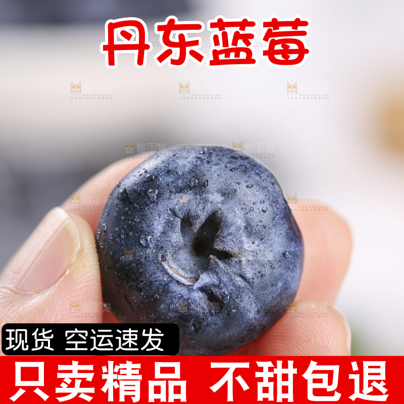 浅底上的新鲜蓝莓