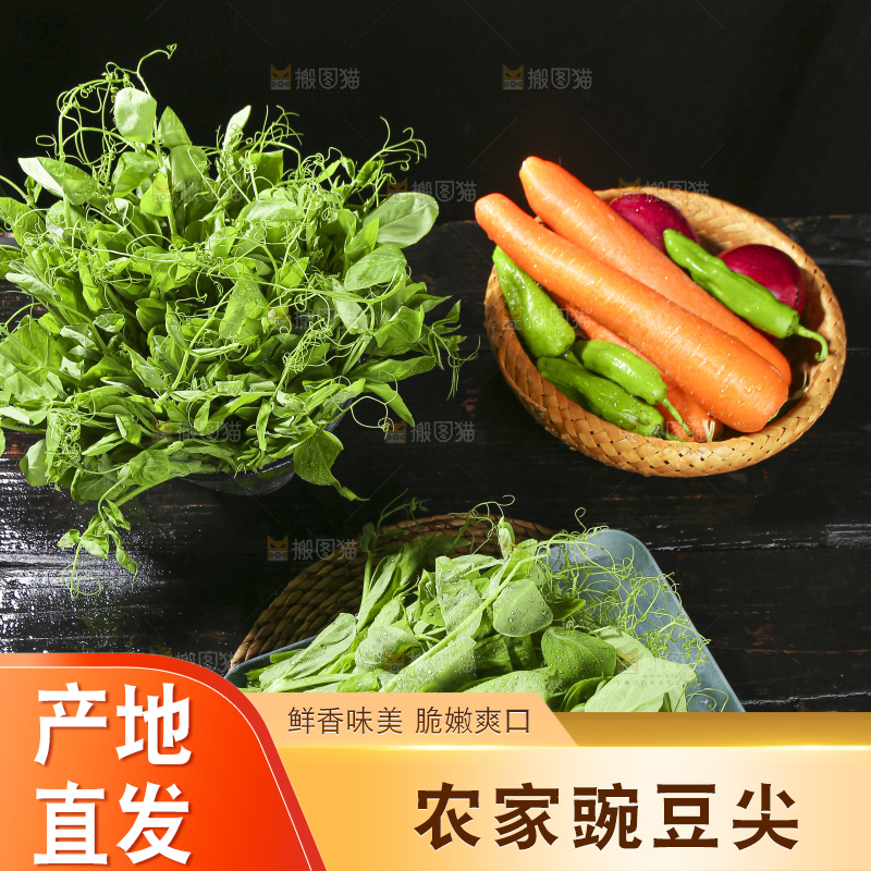 深底上的豌豆苗