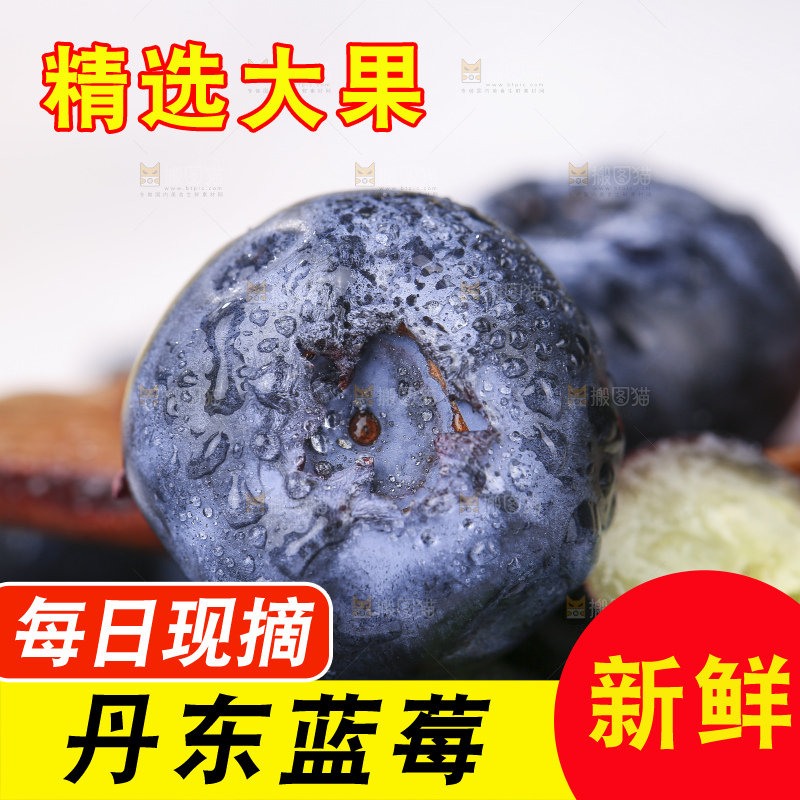 浅底上的新鲜蓝莓