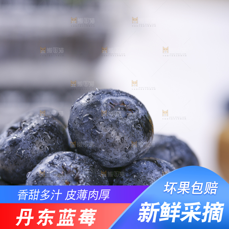 浅底上的新鲜蓝莓