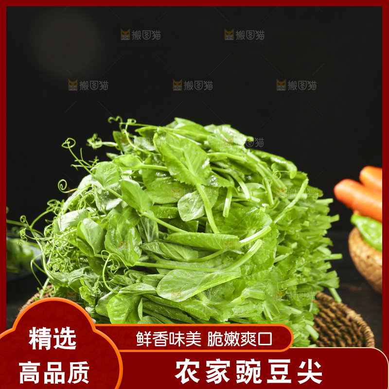 深底上的豌豆苗