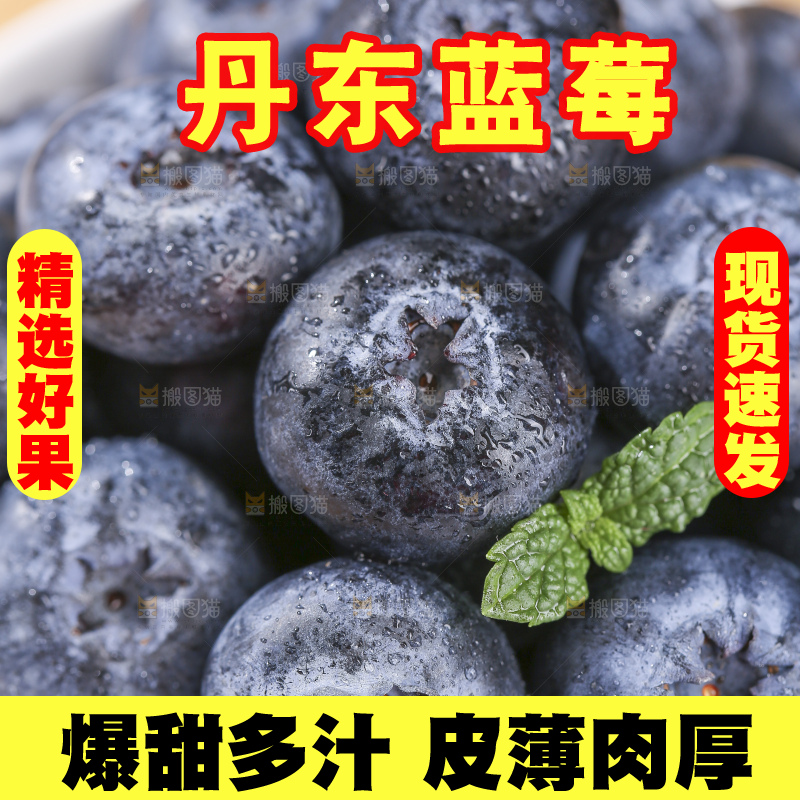 浅底上的新鲜蓝莓