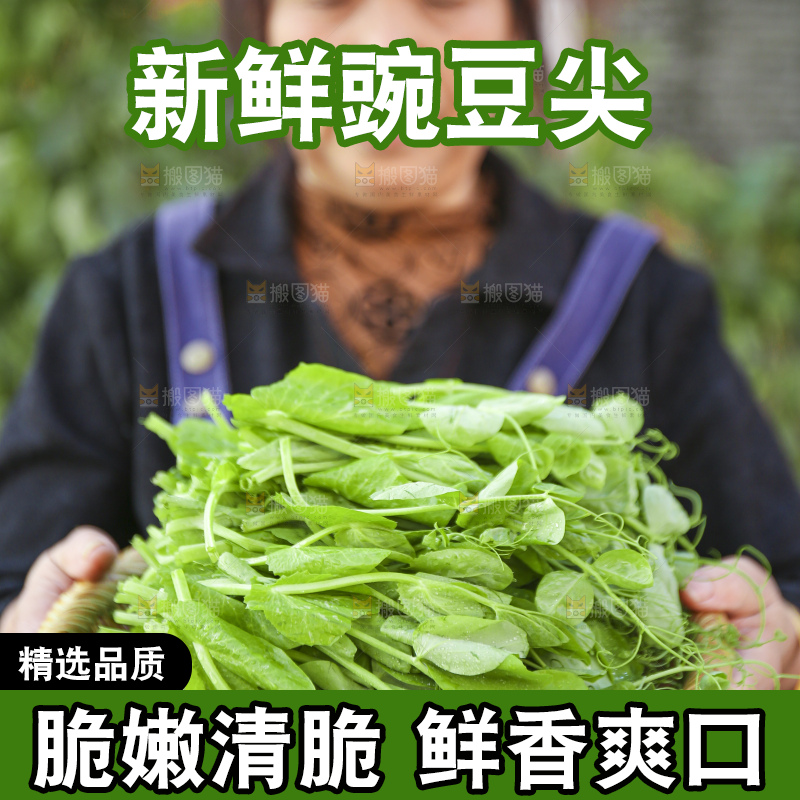 手里拿着豌豆尖