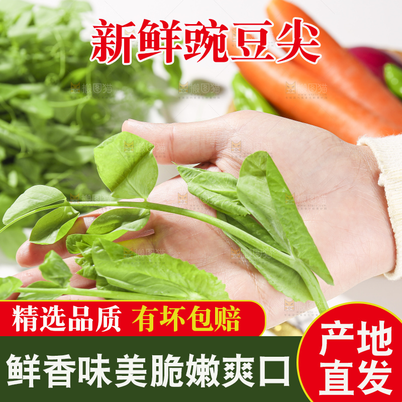 浅底上的豌豆尖
