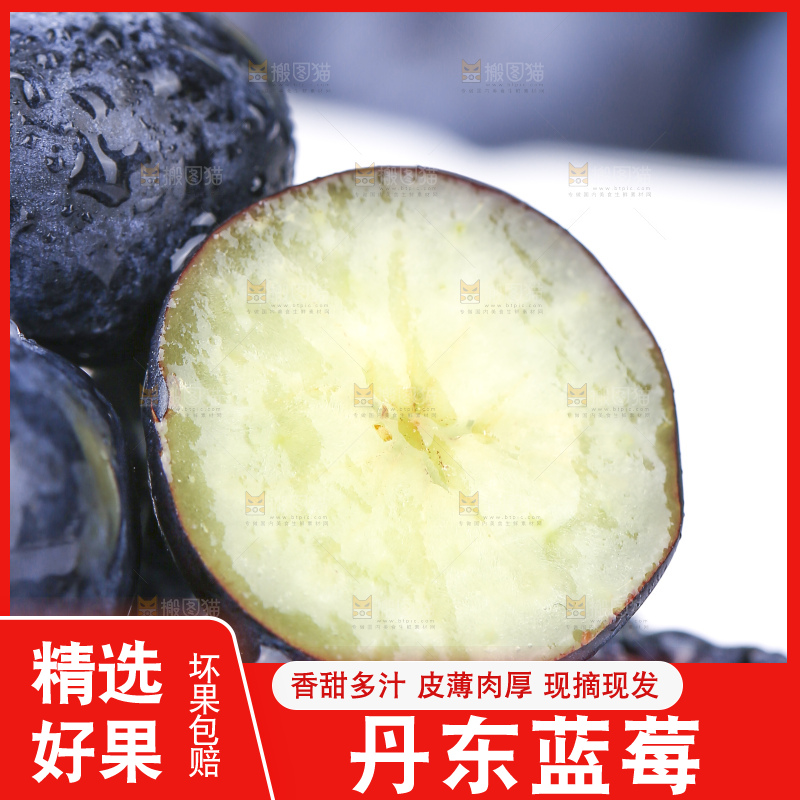 浅底上的新鲜蓝莓