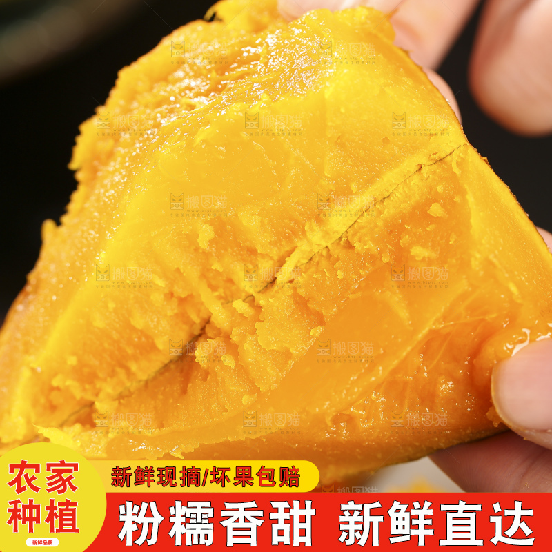 深底上的贵族南瓜