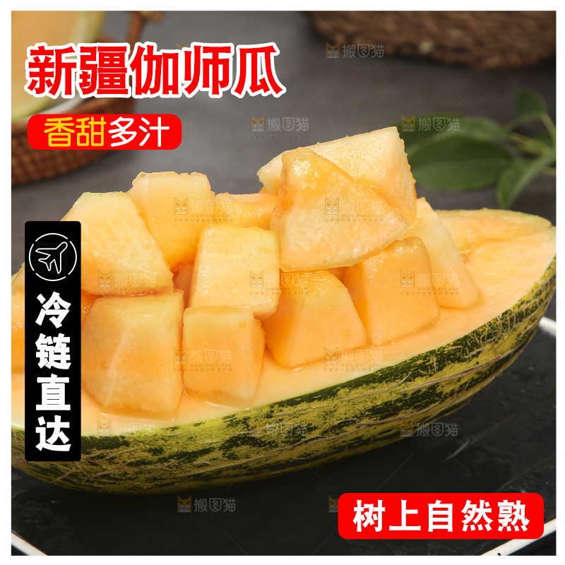 深底上的新疆伽师瓜
