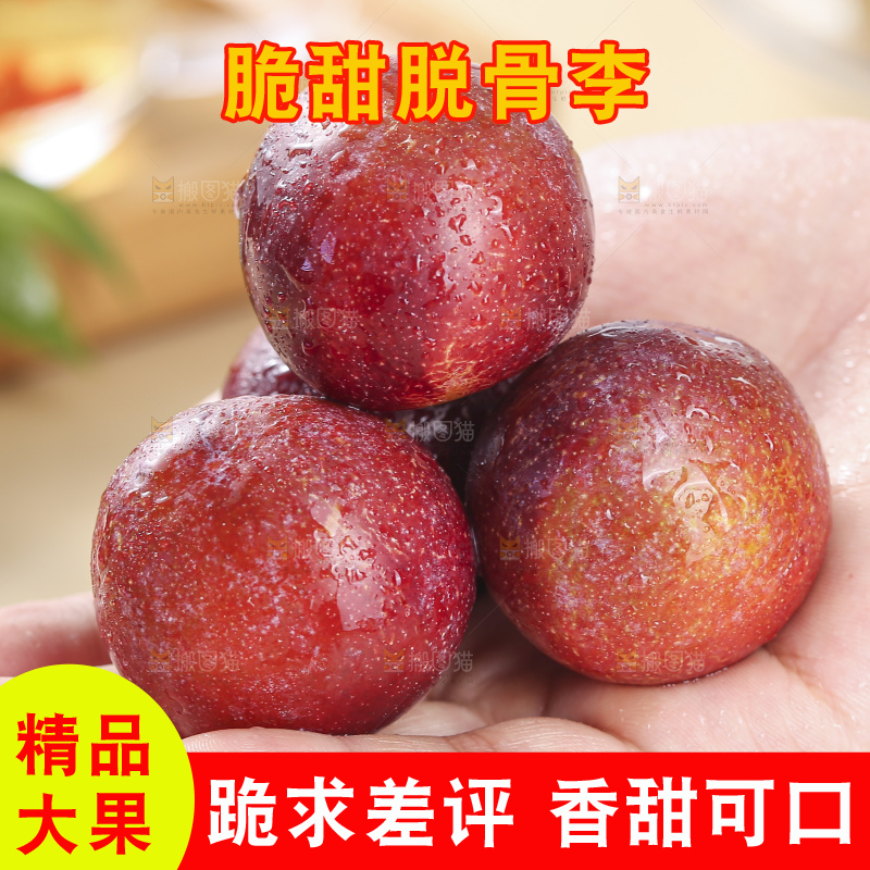 浅底上的脆红李