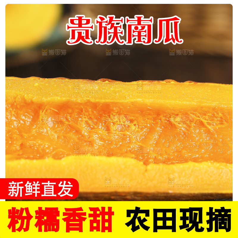 深底上的贵族南瓜