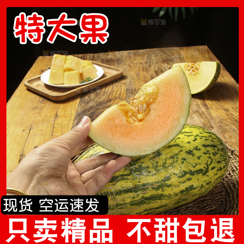 木底上放着伽师瓜