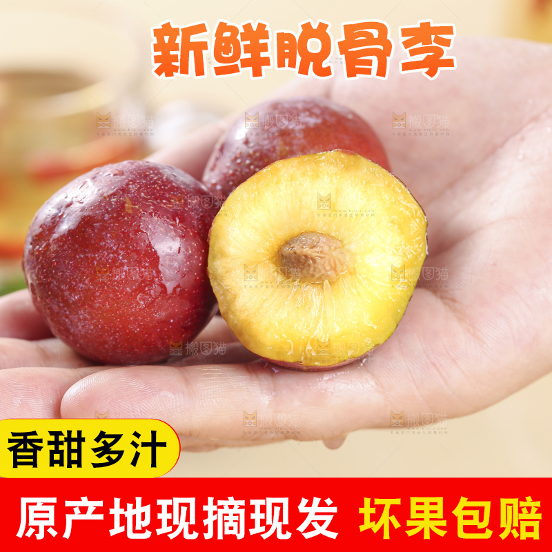 浅底上的脆红李