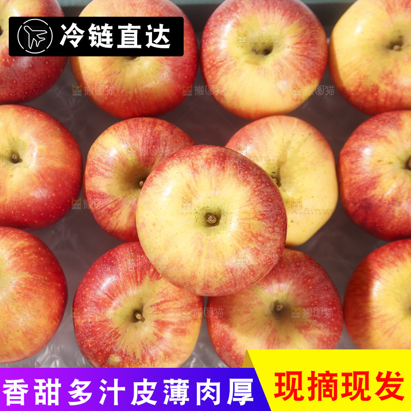 浅底上的高原红苹果