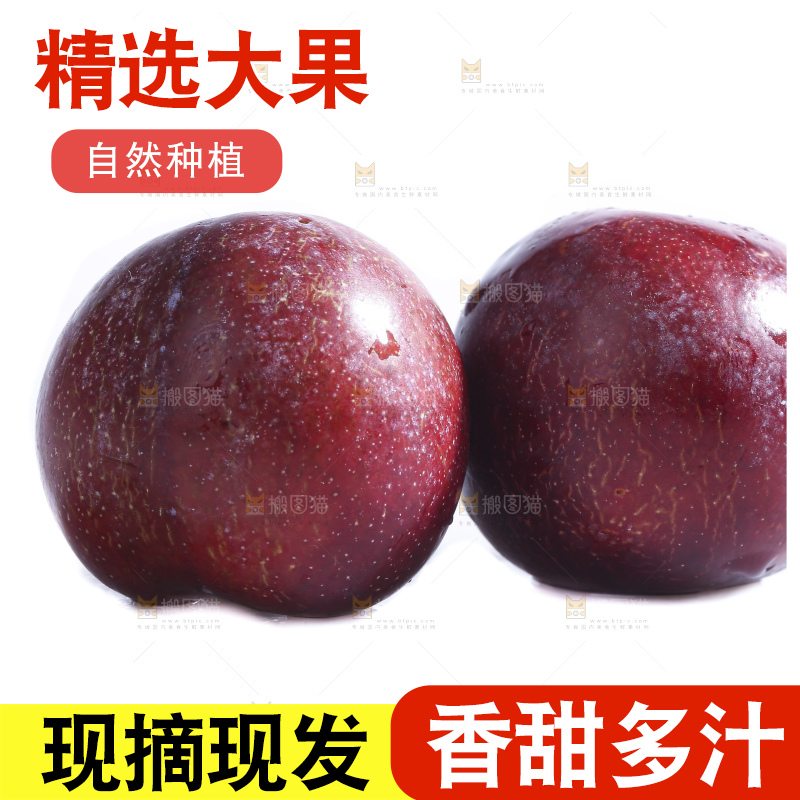 白底上的脱骨李
