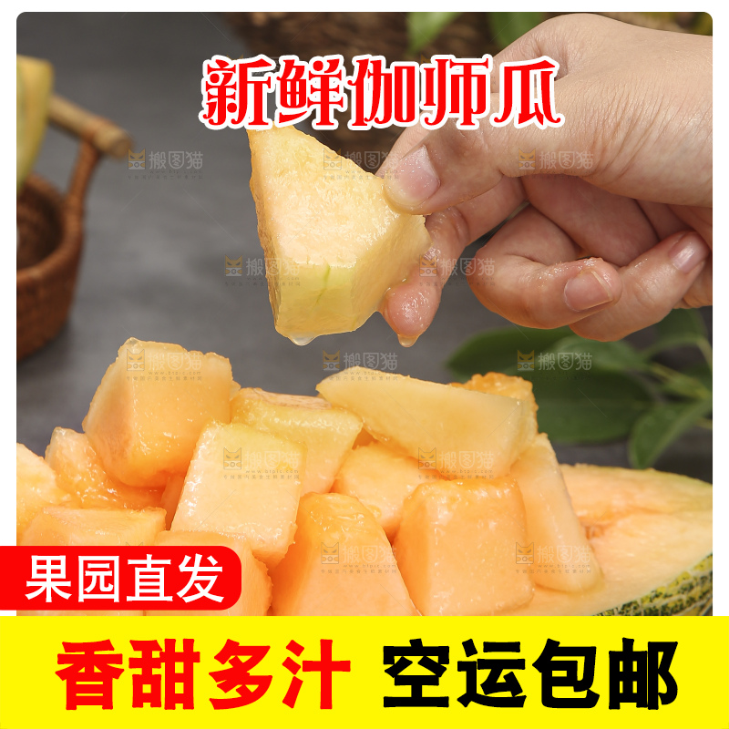深底上的新疆伽师瓜