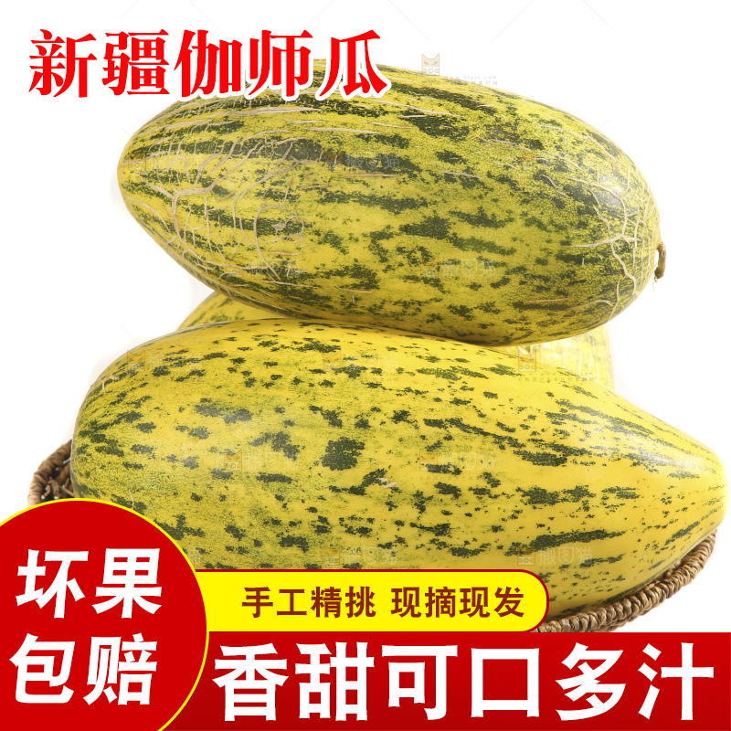 白底上放着新疆伽师瓜
