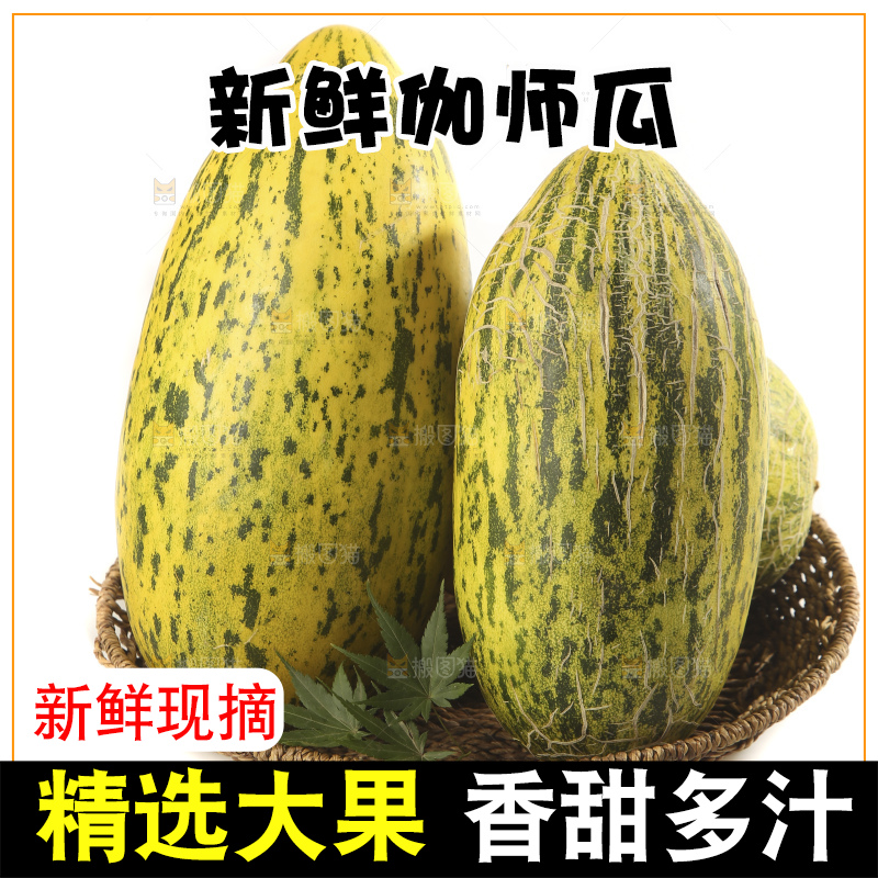 白底上放着新疆伽师瓜