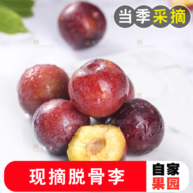 浅底上的脆红李