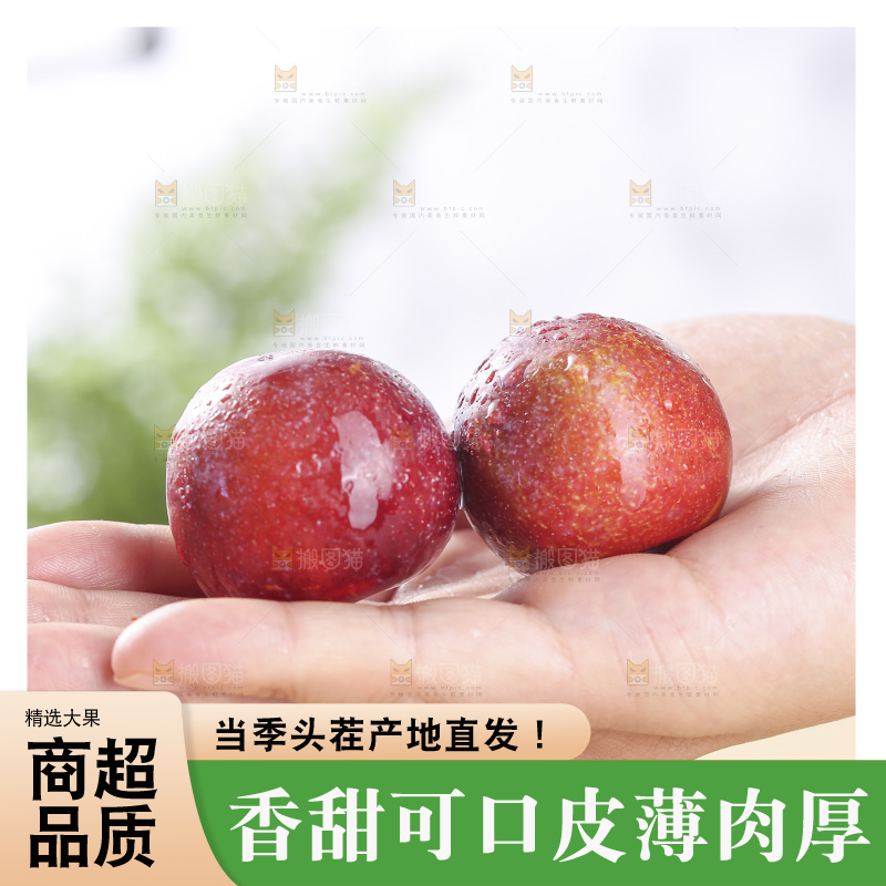 浅底上的脆红李