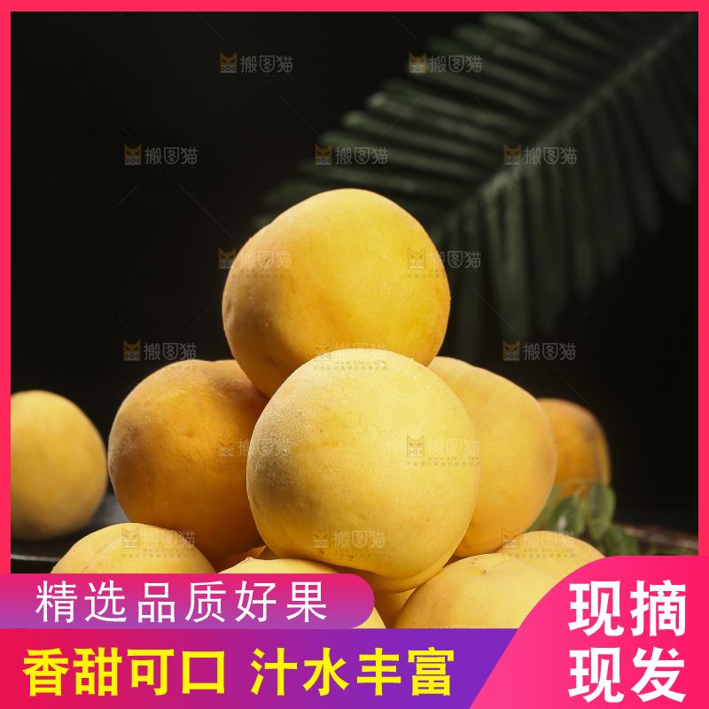 深底上的锦绣黄桃