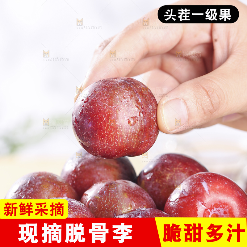 浅底上的脆红李