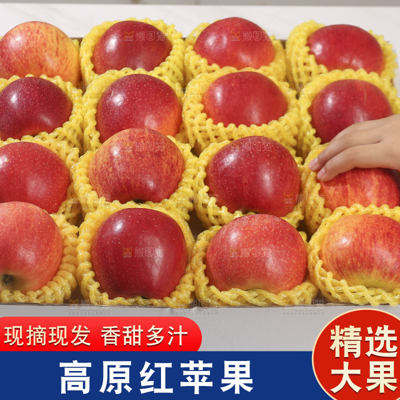 浅底上的高原红苹果