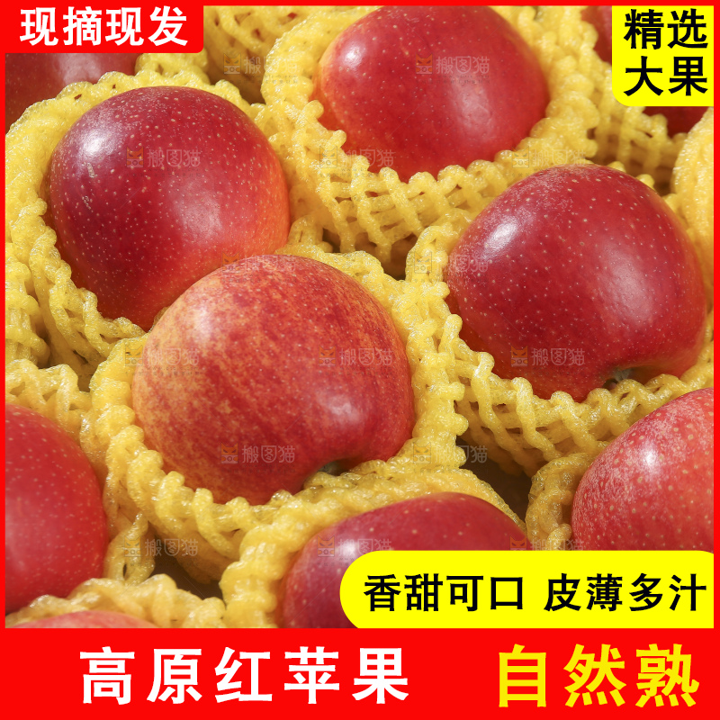 浅底上的高原红苹果