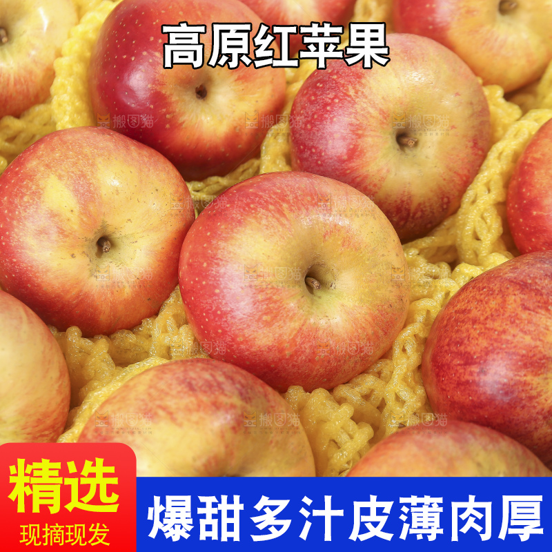 浅底上的高原红苹果