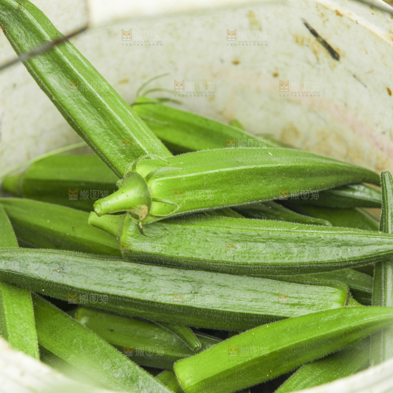 秋葵产地