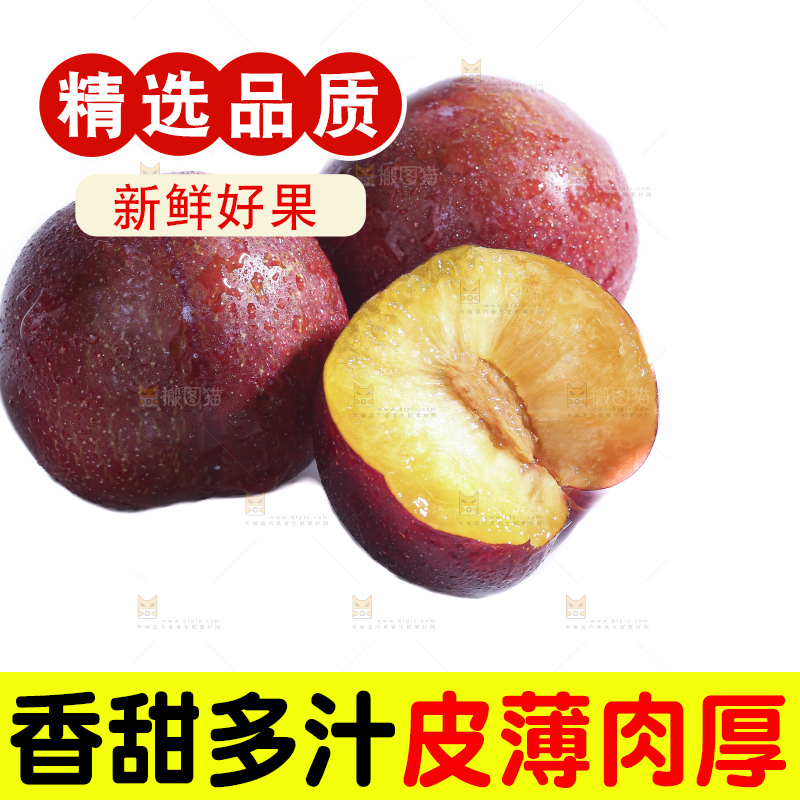 白底上的脱骨李