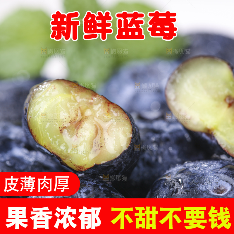 浅底上的新鲜蓝莓