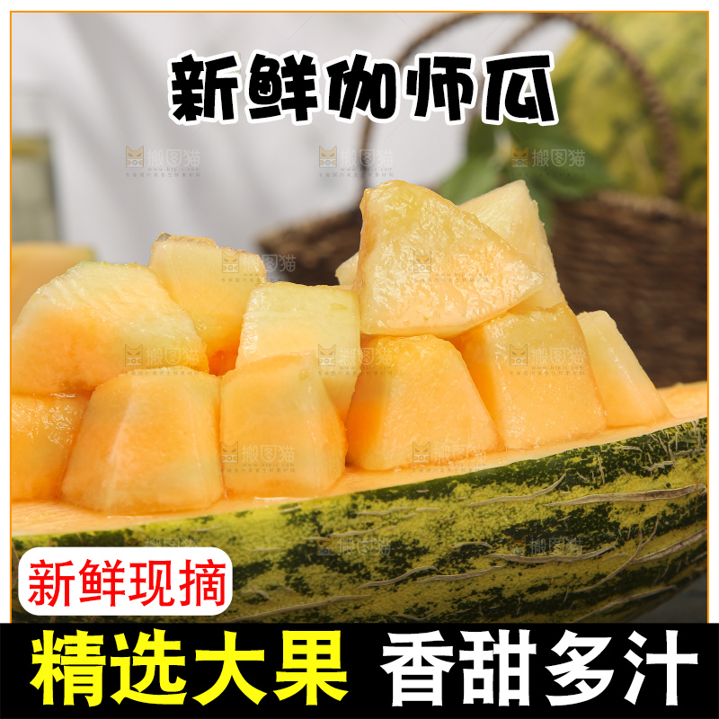 深底上的新疆伽师瓜