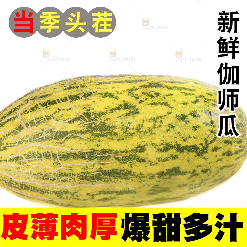 白底上放着新疆伽师瓜