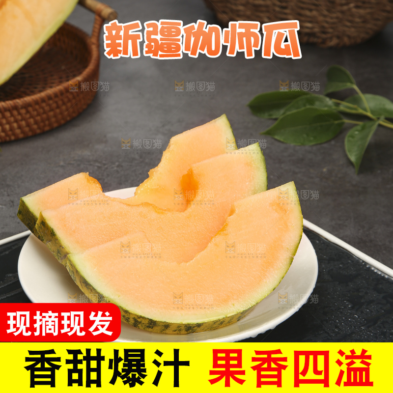 深底上的新疆伽师瓜