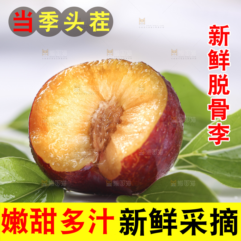 浅底上的脆红李
