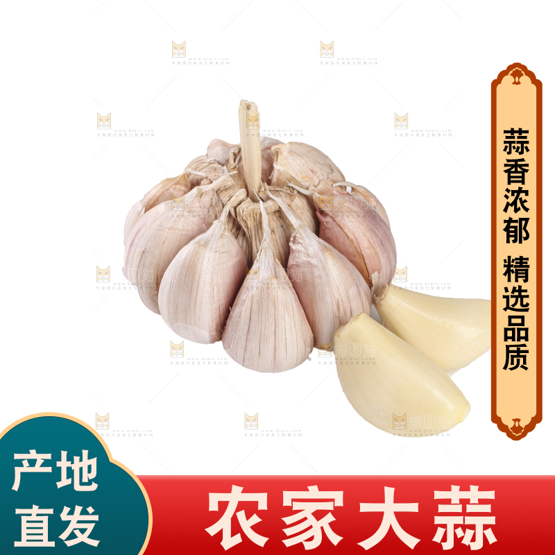 白底上的干蒜