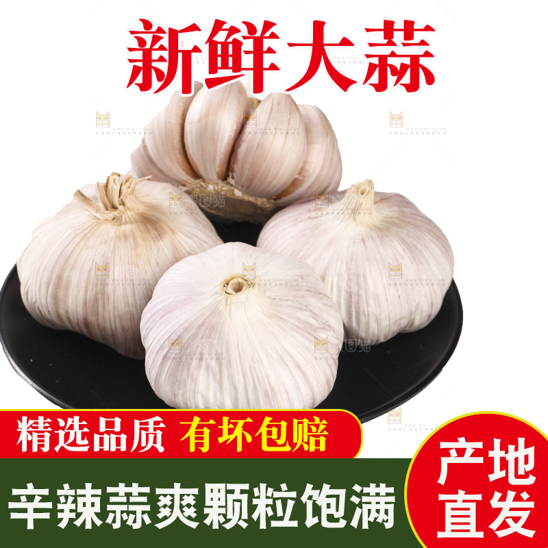 白底上的干蒜