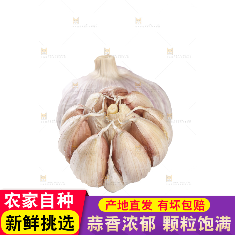 白底上的干蒜