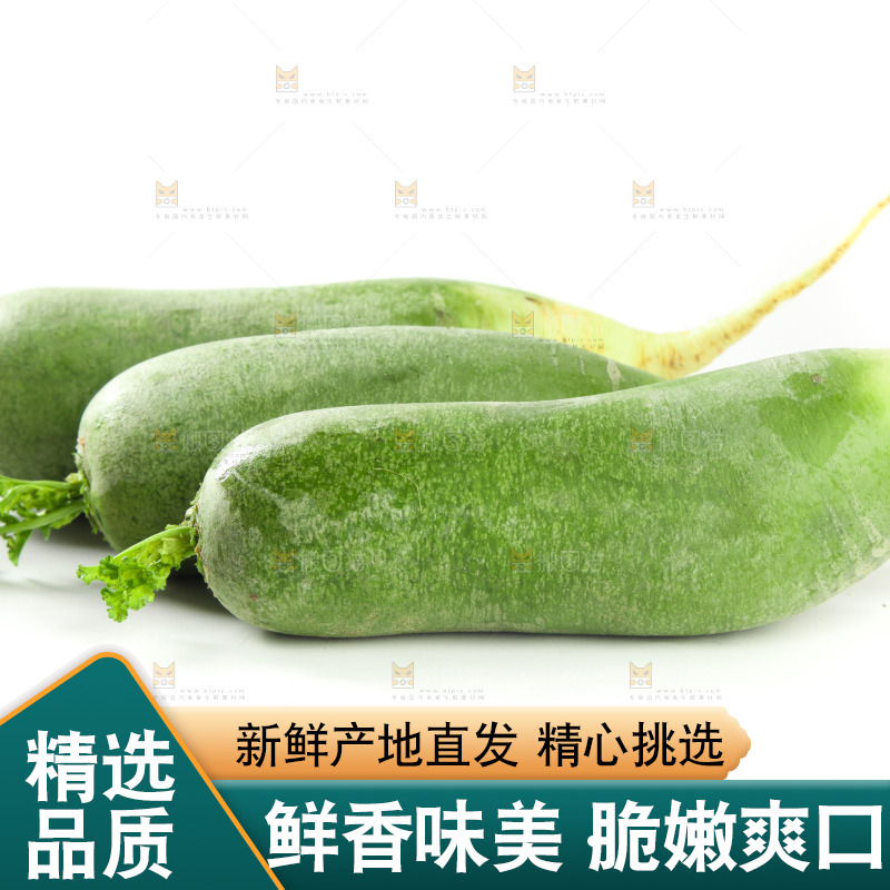 白底上的水果萝卜