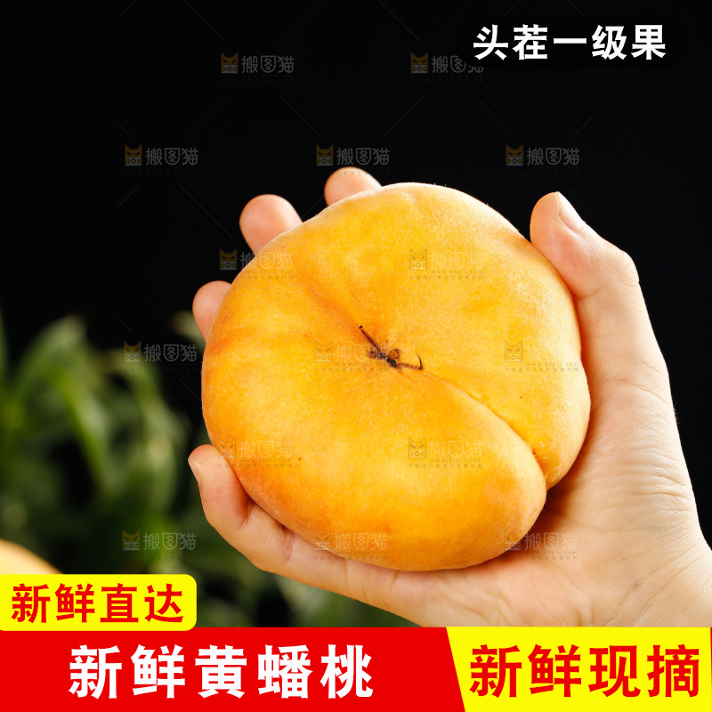 深底上的黄毛蟠桃