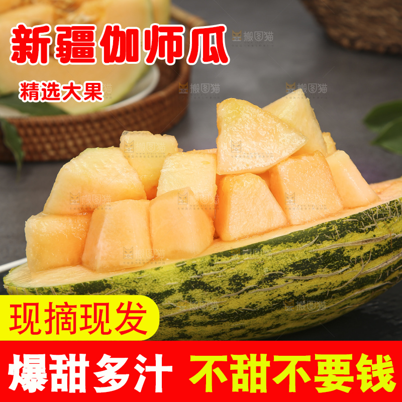 深底上的新疆伽师瓜