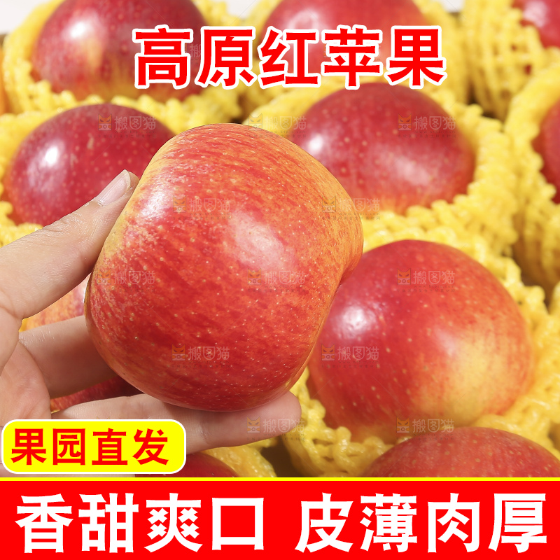 浅底上的高原红苹果