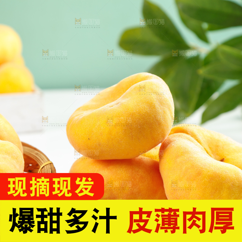 浅底上放着的黄蟠桃