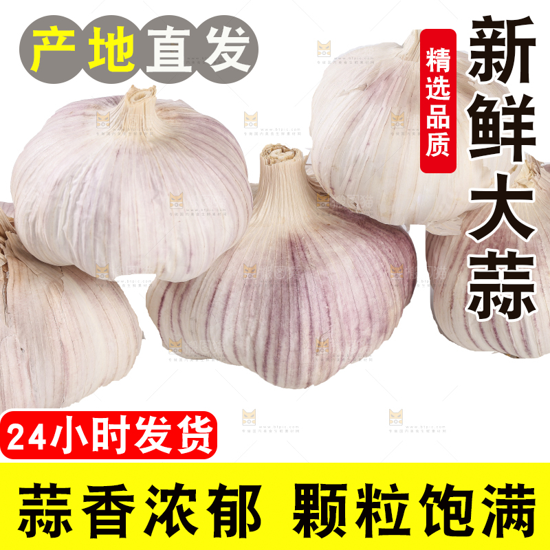 白底上的干蒜