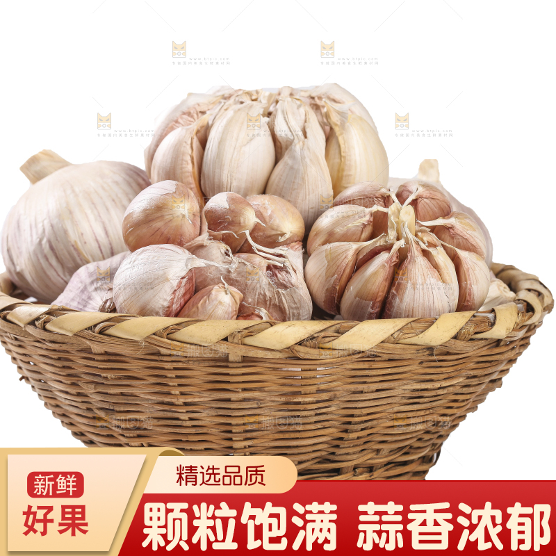 白底上的干蒜