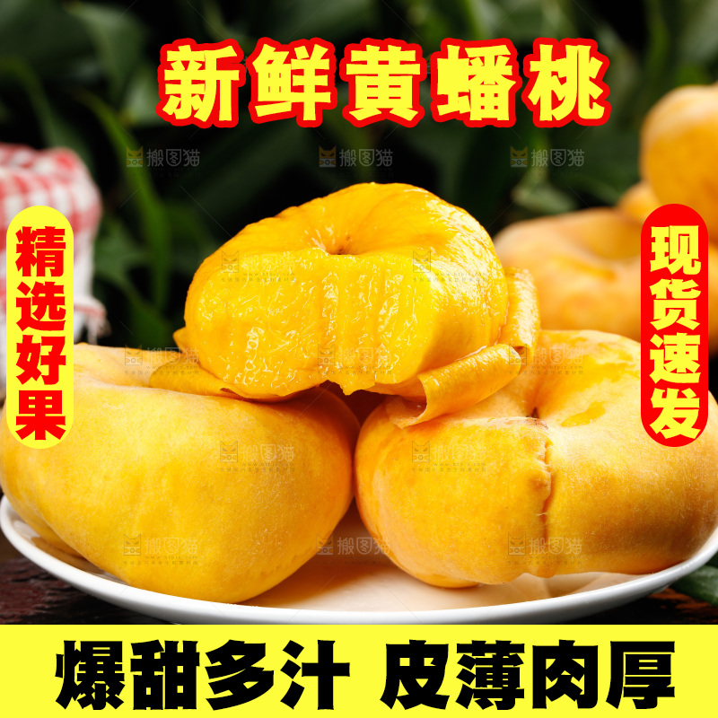 深底上的黄毛蟠桃
