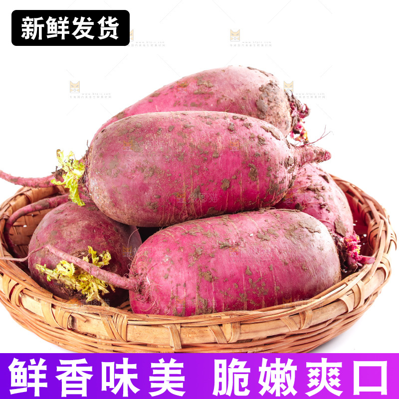 白底上的紫美人萝卜
