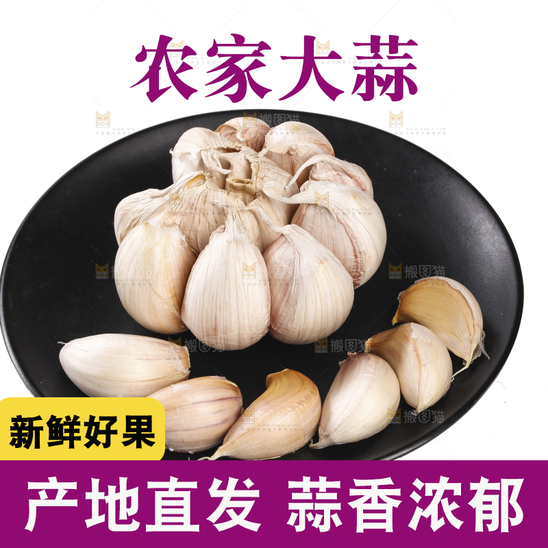 白底上的干蒜