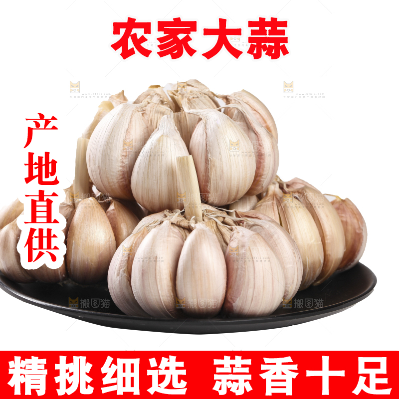 白底上的干蒜