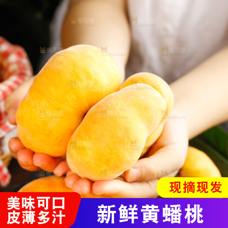 深底上的黄毛蟠桃