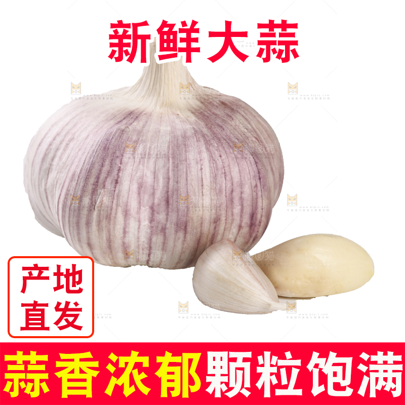 白底上的干蒜